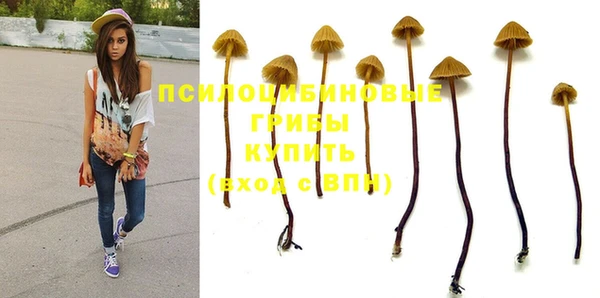 бутират Богородск