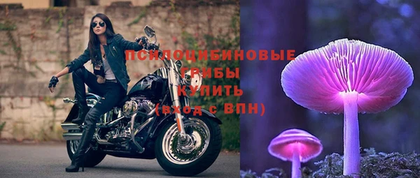 СК Беломорск